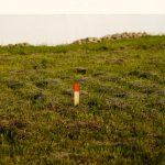 Cuándo un terreno parece perfecto pero no lo es