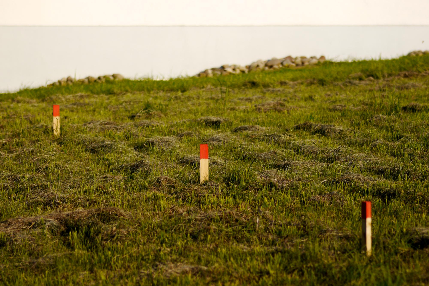 Cuándo un terreno parece perfecto pero no lo es